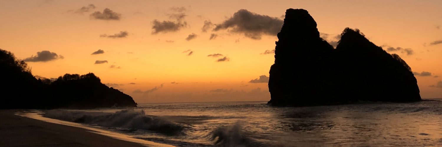 Igor Oliveira banner