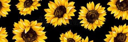 AmandaForini's profile banner image