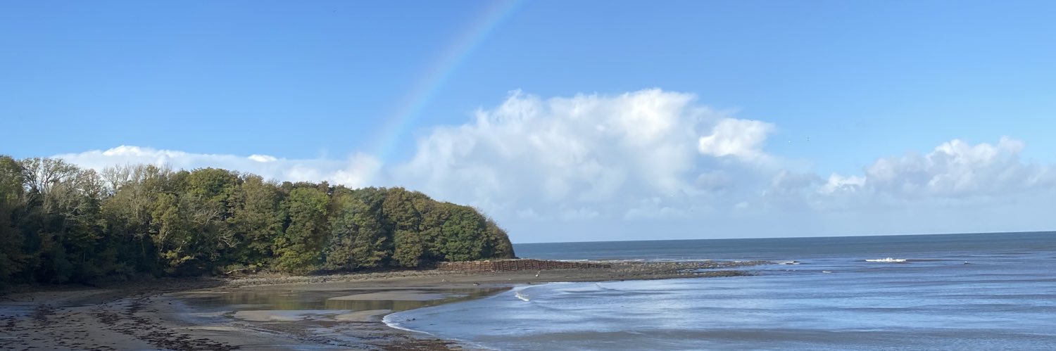 RhianFloyd's profile banner image