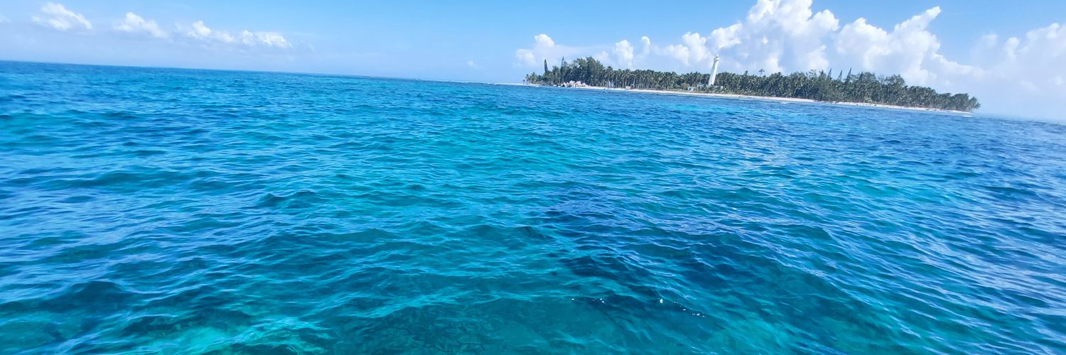 Víctor Domínguez banner