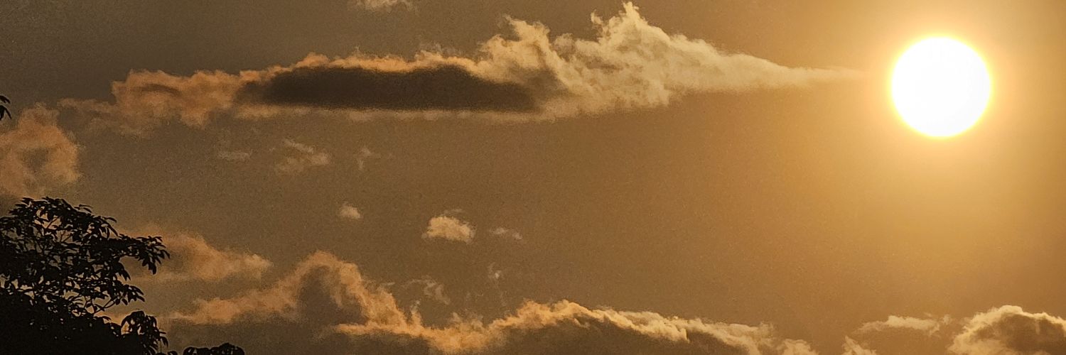 Seamhood's profile banner image