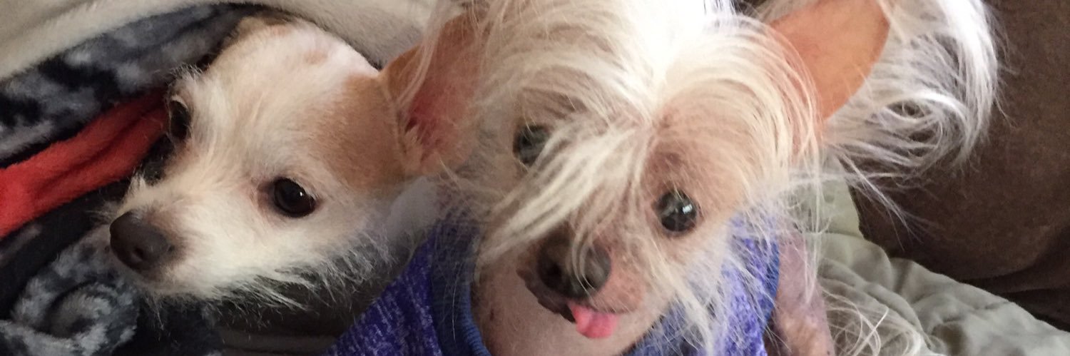 shortybigs's profile banner image