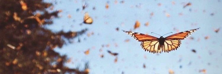 Melissaaa_La's profile banner image