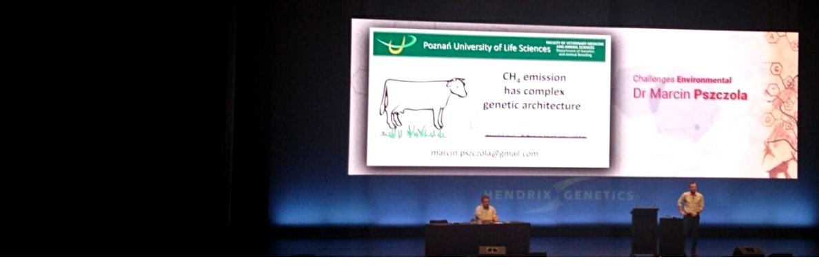 Marcin Pszczola banner