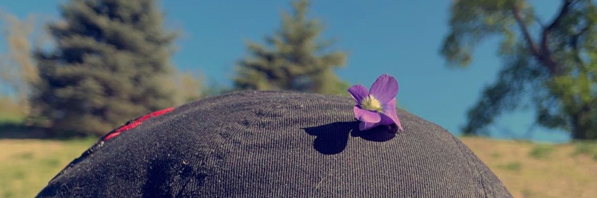 slynnej19's profile banner image