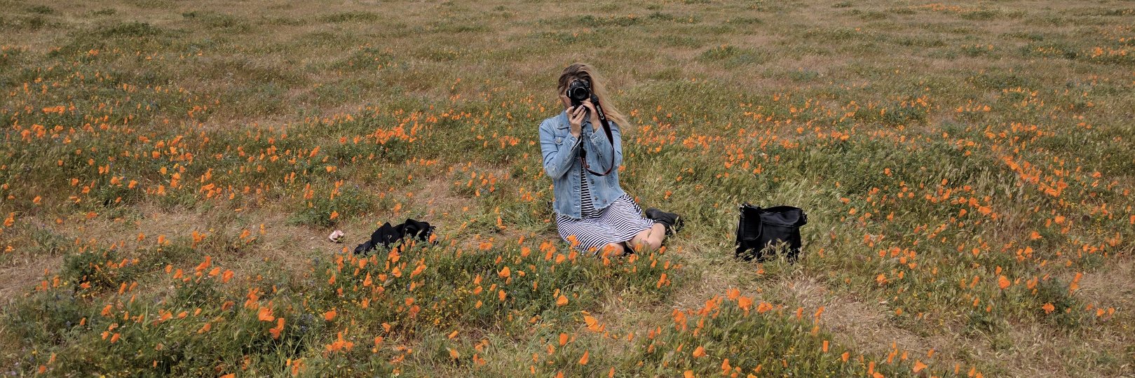 HallieDuesPhoto's profile banner image