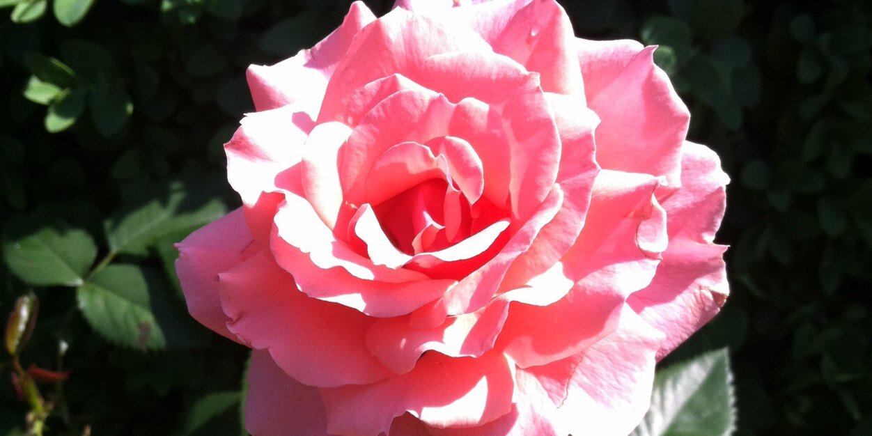 kellly_kretz's profile banner image