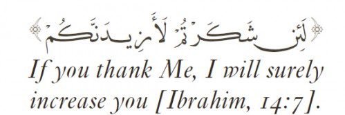 Sultan Alshareef banner