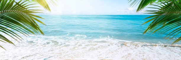 DudeWithBraids's profile banner image