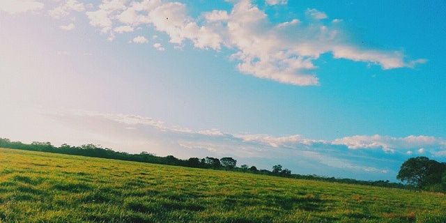 Chiri_Pollo's profile banner image