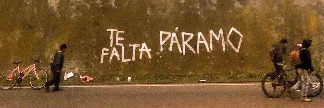 Nathaly Pinto Torres 👉🏽 nacapito.bsky.social banner