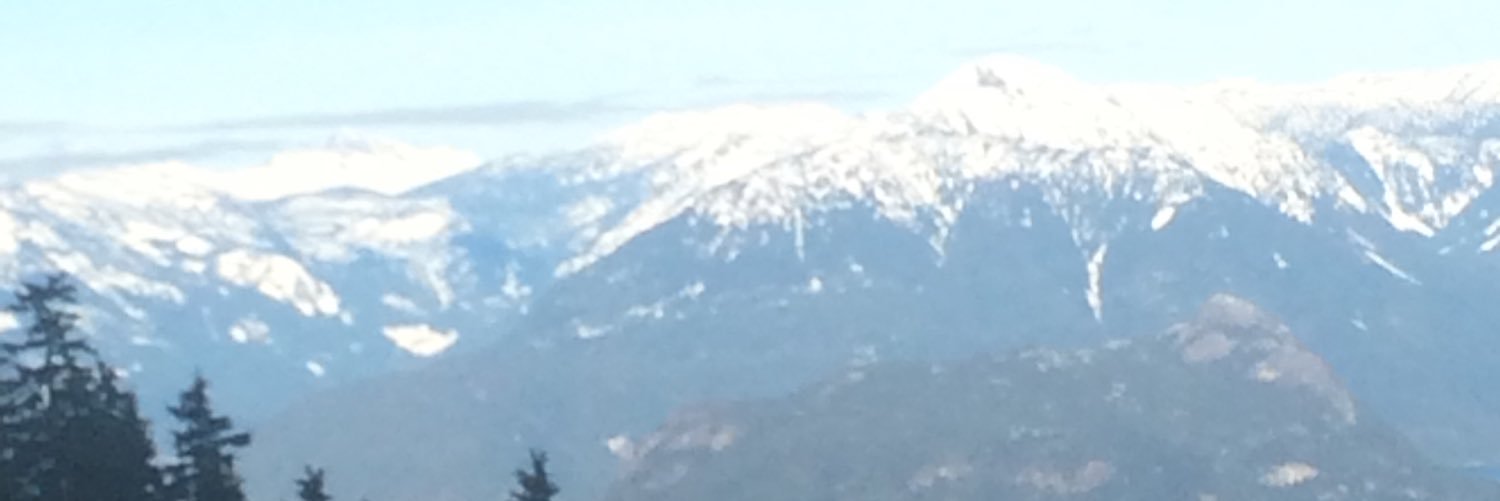 averybruenjes's profile banner image