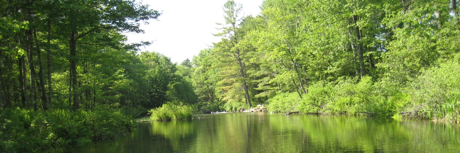 Ⓐⓛⓔⓧⓐ #YR banner