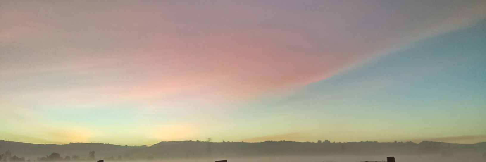 CatiK9's profile banner image