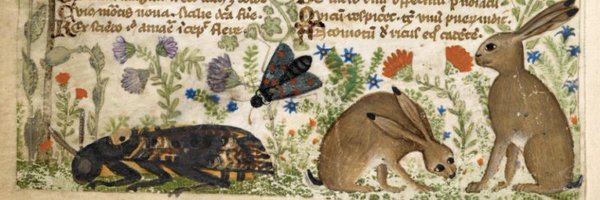 HayleyRabbit Profile Banner