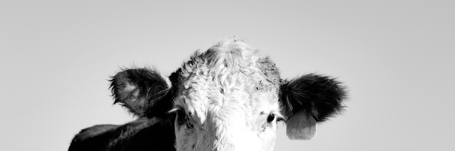 lindsmmeyer's profile banner image