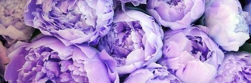 JulesRitchie's profile banner image