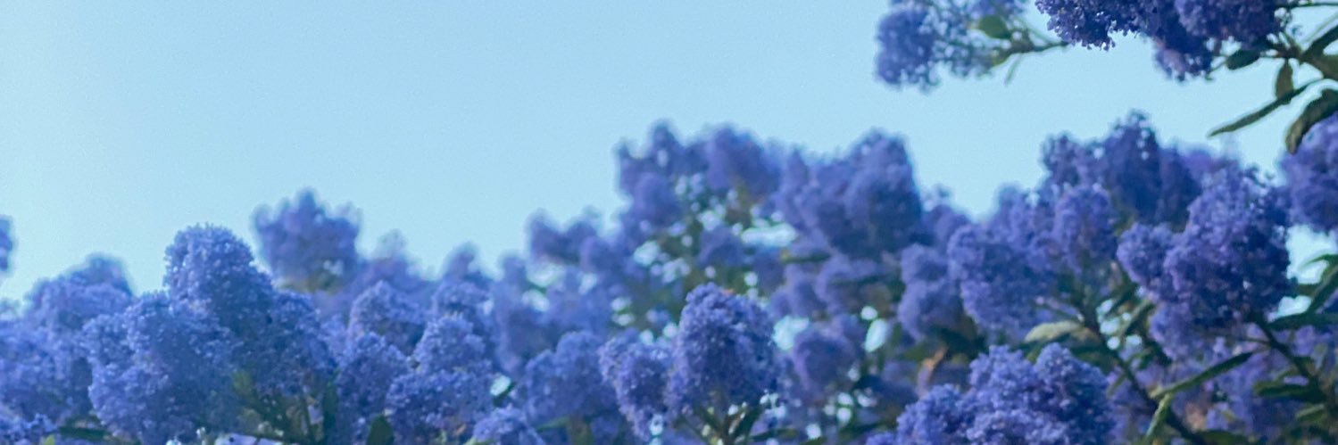 jess joy 🪩 banner
