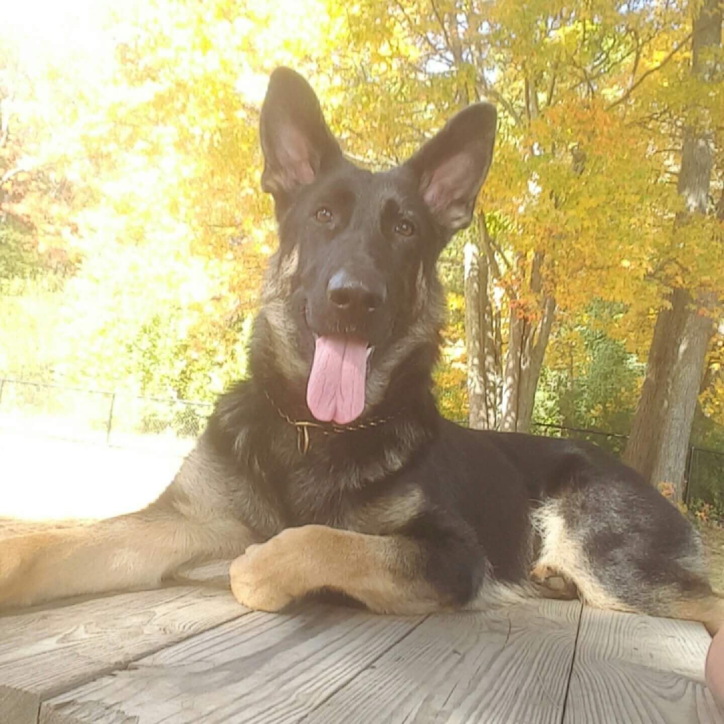 MitchellHeney18's profile banner image