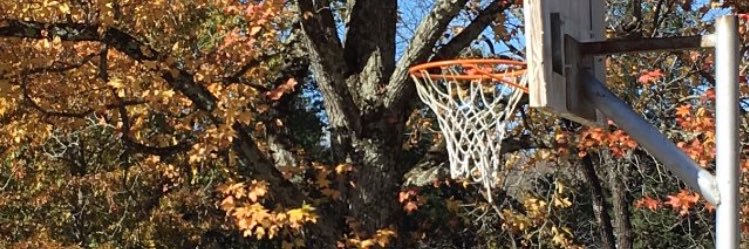 michael conley banner