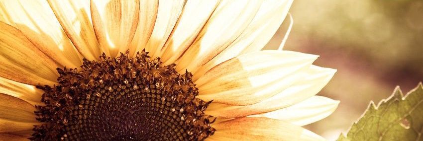 Kristen_JBH's profile banner image