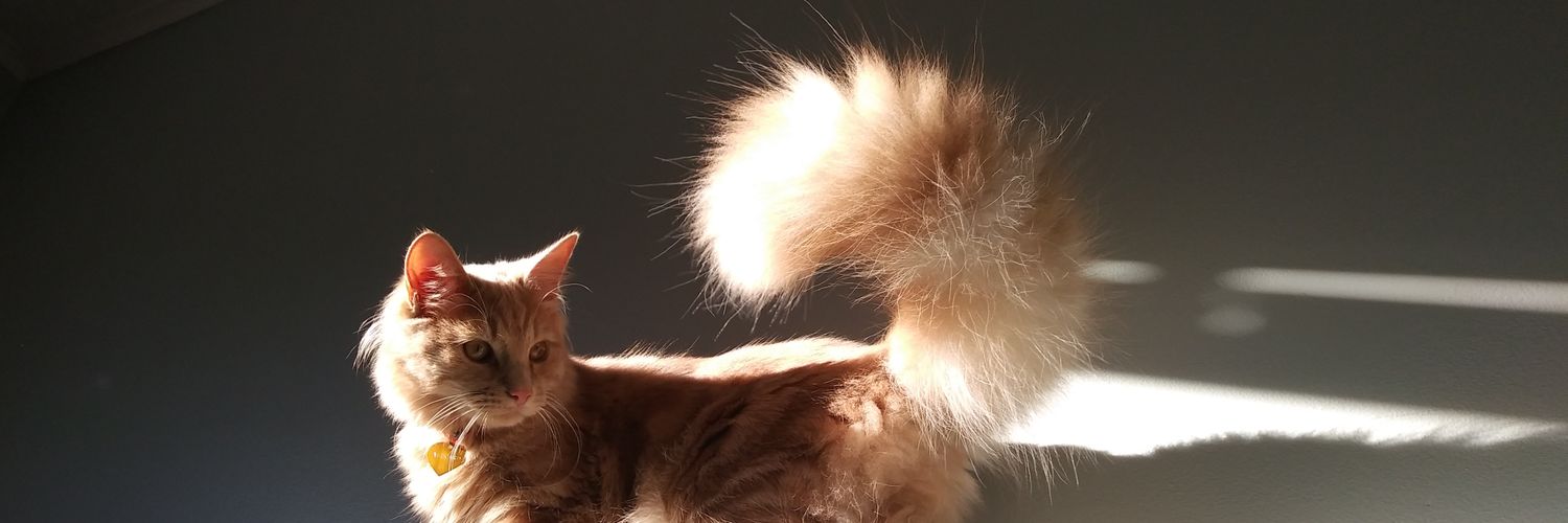 ✨Oz (Siv)✨ banner