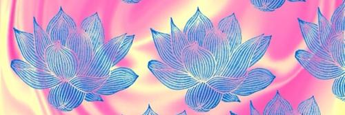 CarolinaTassi20's profile banner image