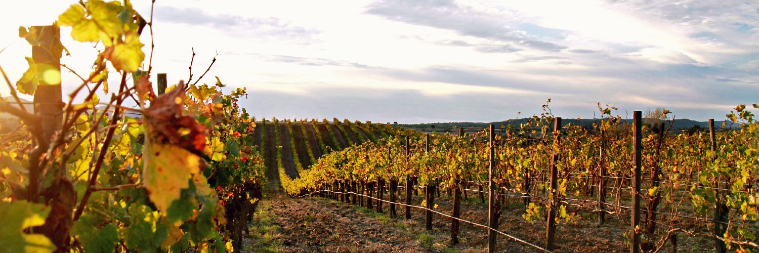 Buttonwood Winery banner