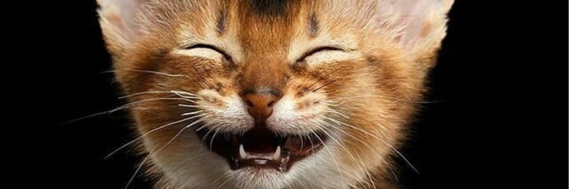M4riacamila's profile banner image
