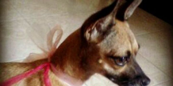 Dime_milly's profile banner image