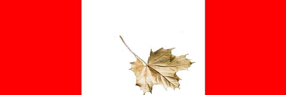 ITSQWK's profile banner image