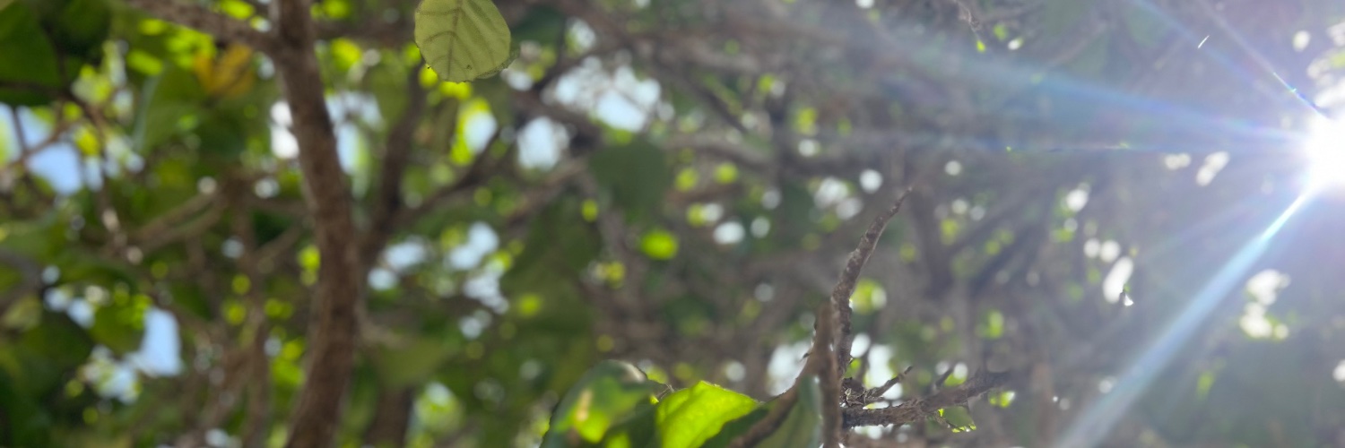 Zaackap's profile banner image