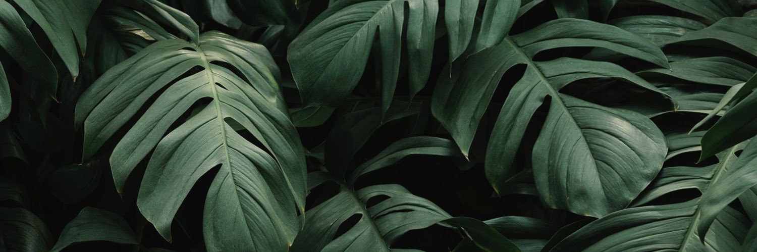 baileyycarr's profile banner image