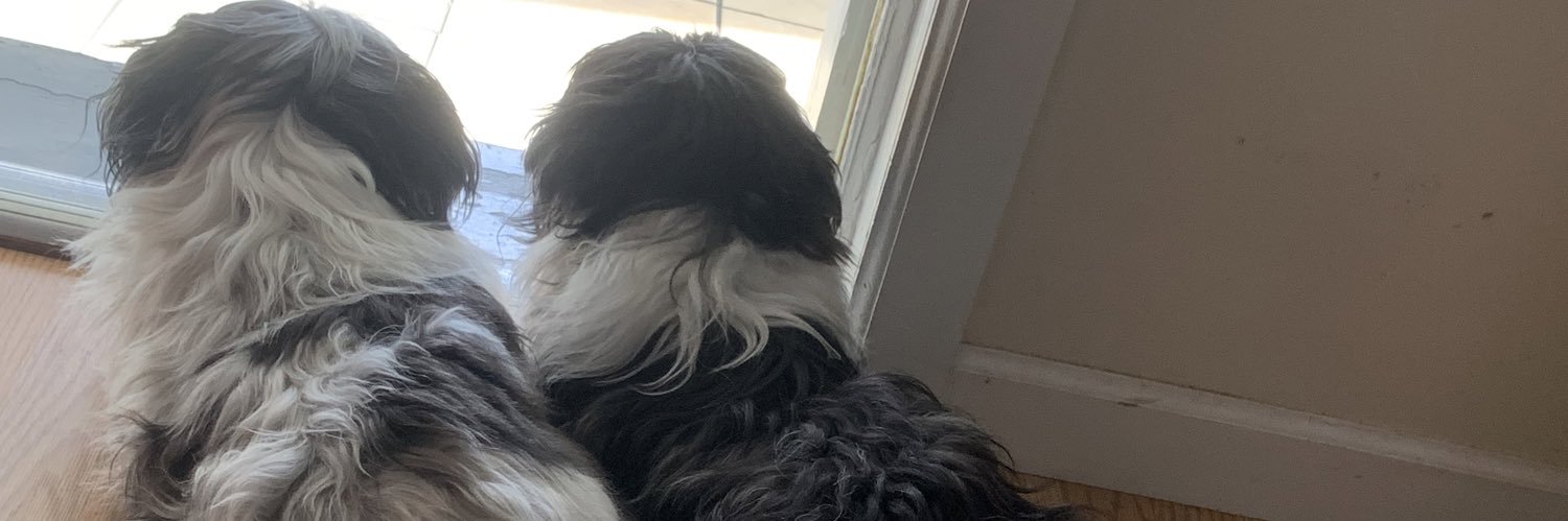 EdwinB___'s profile banner image