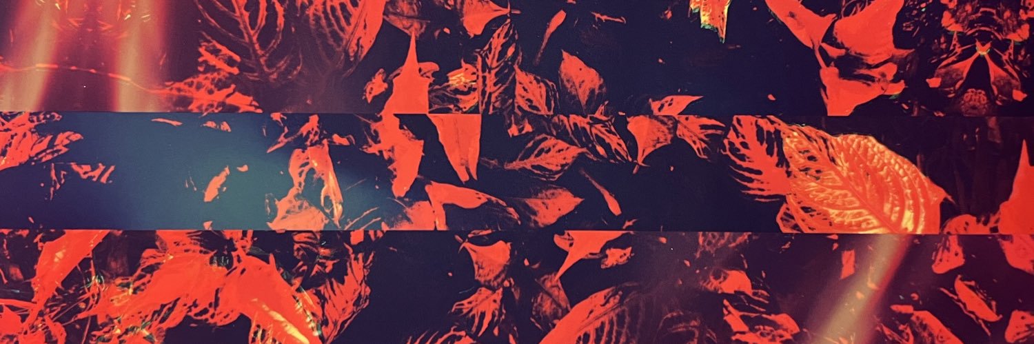 backslashed banner