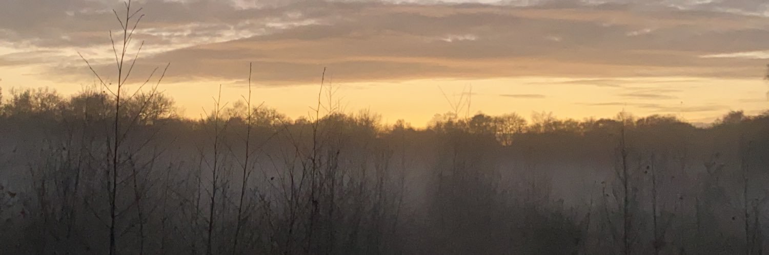 Faran Moaddel banner