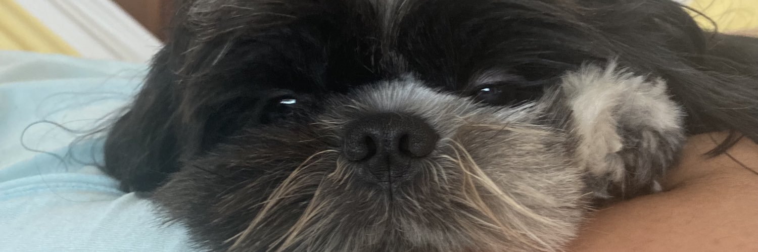brunxxl's profile banner image