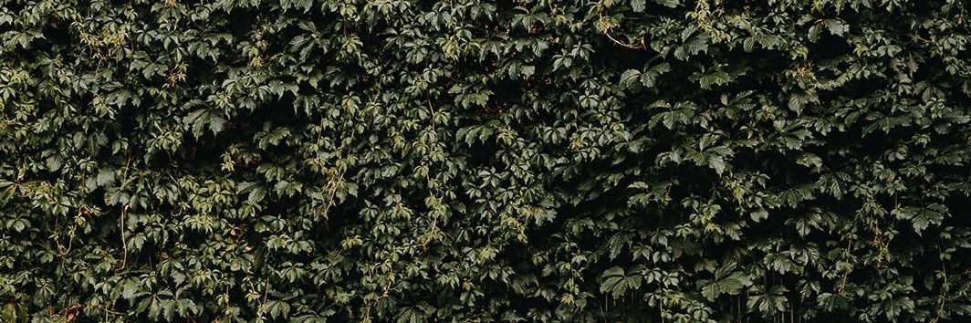 ryanf0wler's profile banner image