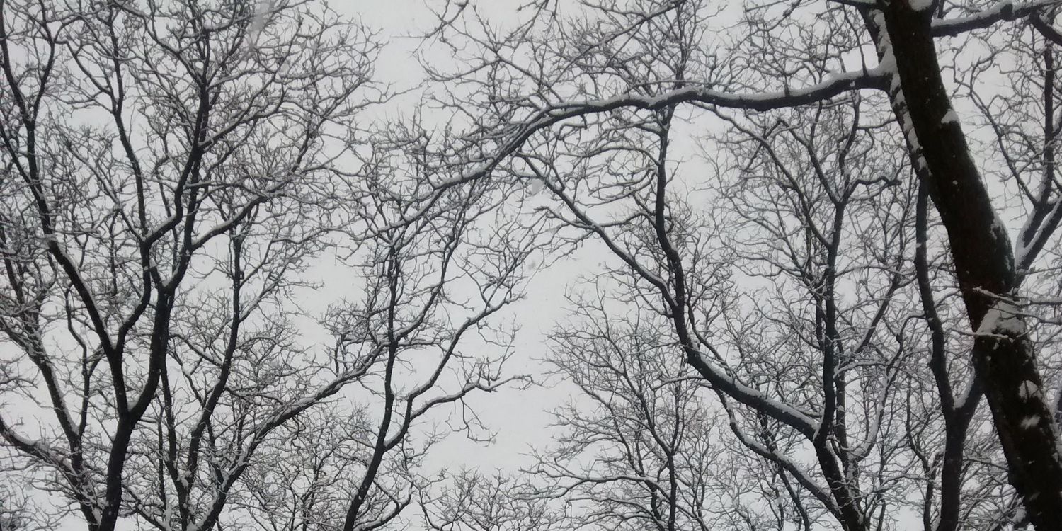 BLaurieG's profile banner image