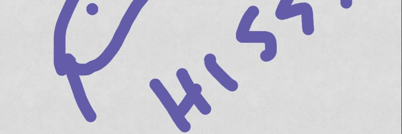 pichkaso's profile banner image