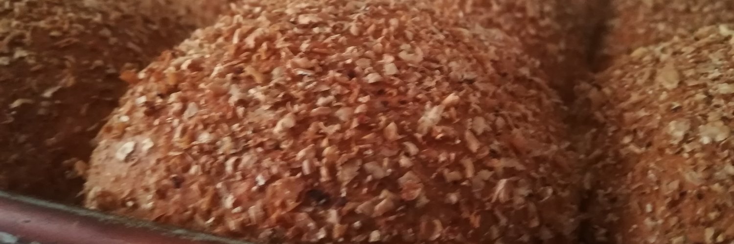 nutrinatur's profile banner image