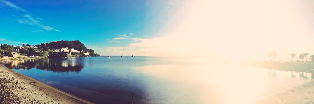 Ernesto Juárez banner