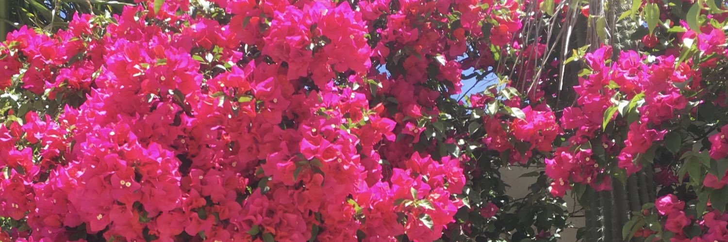 _chantalc's profile banner image