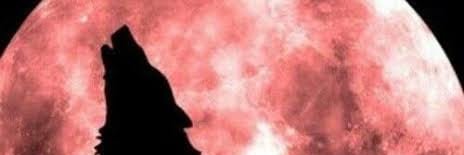 Omar Cantú banner