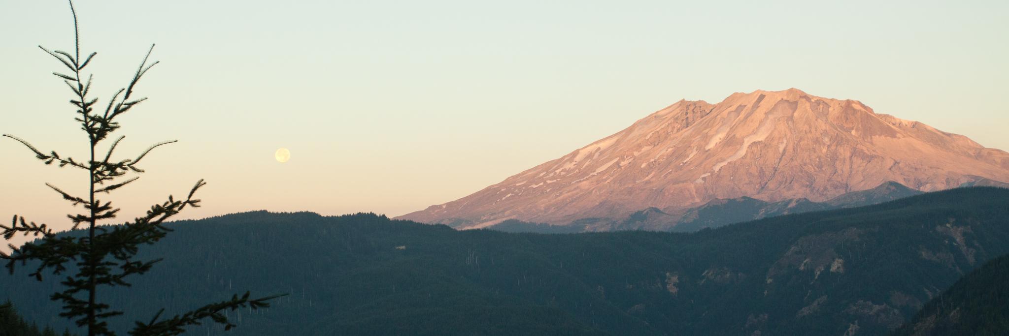 dinotheroller's profile banner image