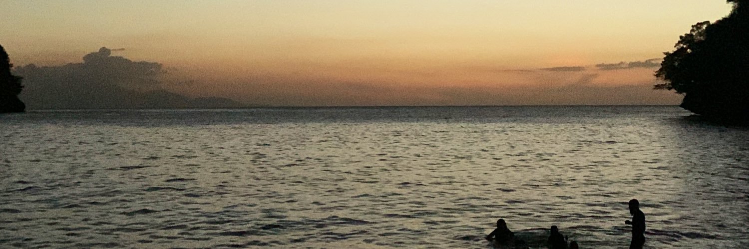 alyssaa868's profile banner image