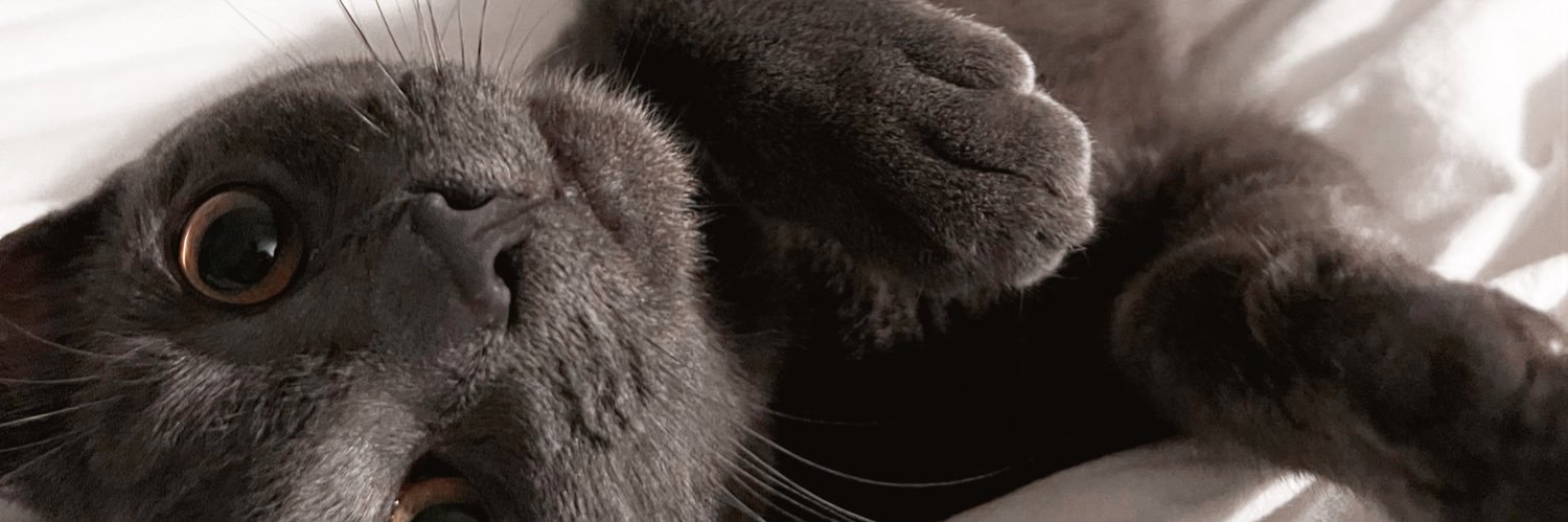 chanchanhoover's profile banner image