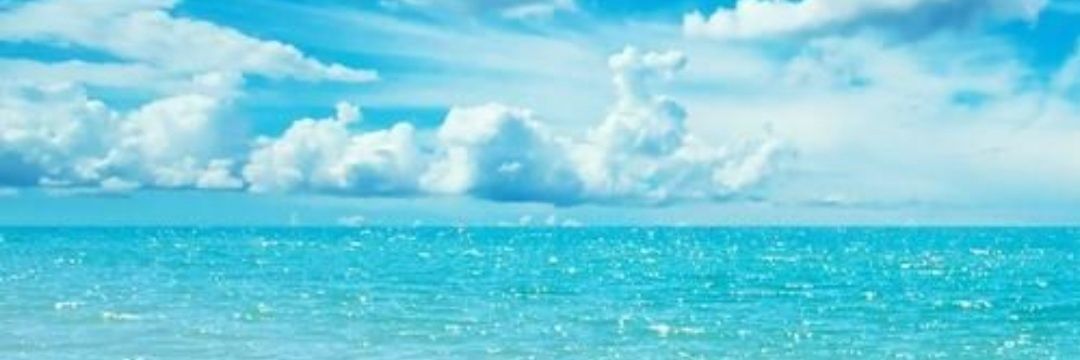 bunkleton's profile banner image