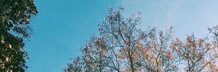infpgirrls's profile banner image