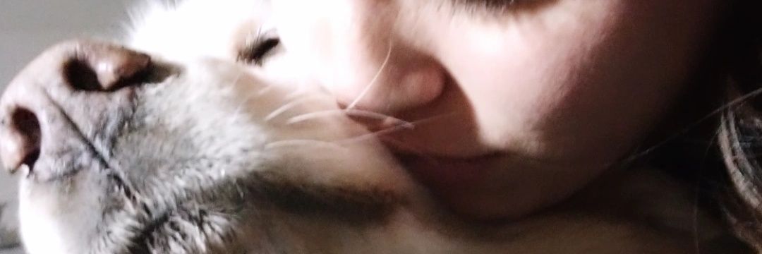Vicky_Cisterna's profile banner image